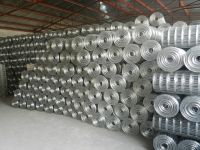 good quanlity welded wire mesh /square wire mesh low price