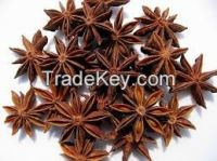 Star Aniseed