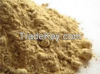 Ginger Powder