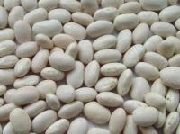 White Kidney Beans