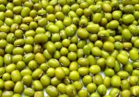 Split Green mung beans (with skin or without skin)