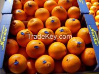 Fresh fruits from Egypt