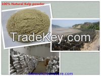 100% natural  Kelp powder