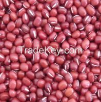 Adzuki beans small red beans with good quality