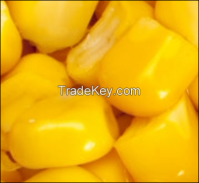 Yellow corn for Animal Feed