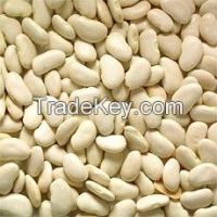 White Kidney Beans Large White Bean or Butter Bean