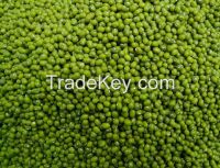 Dried Green Mung Beans