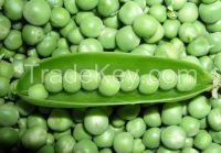 frozen green pea