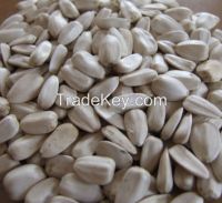 Sunflower Seed Kernels