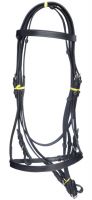 Bridle, Halter, Saddle Blanket, Rugs, Equestrian Products