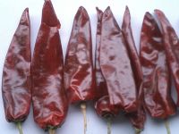 Sell Dried Red Chilli