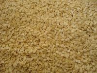 Sell Seed Kernels