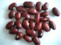 Sell Japanese Red Beans