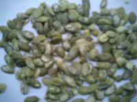 Sell Snow White Pumpkin Seed Kernels