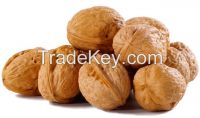 Walnut in shell DDU