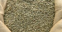 Special Coffees and Organics- Rates over 83 - High Supply Capacity.