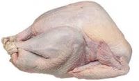 FROZEN TURKEY MEAT BONELESS SKINLESS