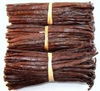 madagascan vanilla beans