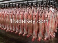 Boneless New Zealand Lamb Leg Meat and other parts