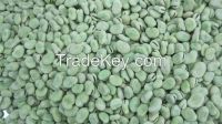 Fresh Frozen Fava/Broad Beans