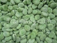IQF/Frozen double peeled broad beans new crop