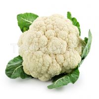 Organic green vegetables fresh cauliflower