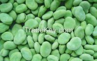 Frozen style broad bean A grade new crop