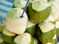 fresh coconut juice, coconut water