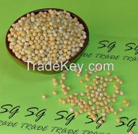 Yellow Peas