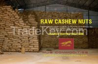 Raw Cashew Nuts in Shell For Sale
