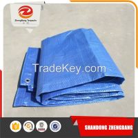 Best-selling Blue PE tarpaulin Sheet Plastic PE tarpaulin
