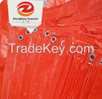 Flame Retardant Check PE Plastic Sheeting tarpaulin