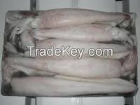 Frozen Squid illex Argetninus - Todarodes Pacificus - Gaint Squid