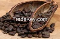 natural cocoa beans/ cocoanut powder