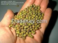 Vigna Adzuki Beans for sale