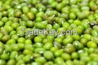 Green Mung bean