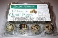 Fresh Quail Eggs