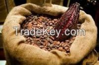 Matured cocoa beans
