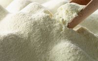 BEST MILK POWDER PRICES