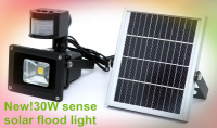 30W sense solar flood light