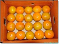 Sell sweet persimmon