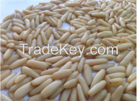 Sell Pine Nut Kernels