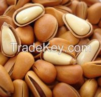 Sell Pine Nuts