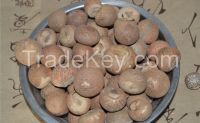 dried betel nut