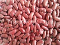 red speckled kidney beans