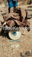 WET AND DRY SALTED DONKEY HIDES FOR SALE