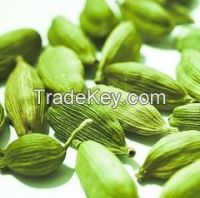 Jatropha Seeds, Cardamom Seeds, Carom Seeds, Cotton Seed Meal, Cumin Seeds, Melon Seeds