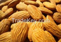 Cashew Nuts, Almond Nuts, Cashew nuts, Fresh chestnut, Hazelnuts