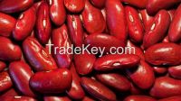 100% Black, Red and White Kidney Beans for sale at cheap prices.