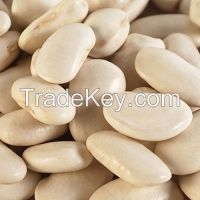 Quality Butter Beans for Sale